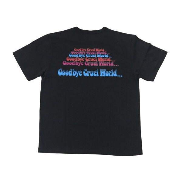 WEIRDO ウィアード 胸ポケット 半袖 プリント Tシャツ 「Goodbye Cruel World...」 GLAD HAND グラッドハンド WRD5123【2025年春夏新作】